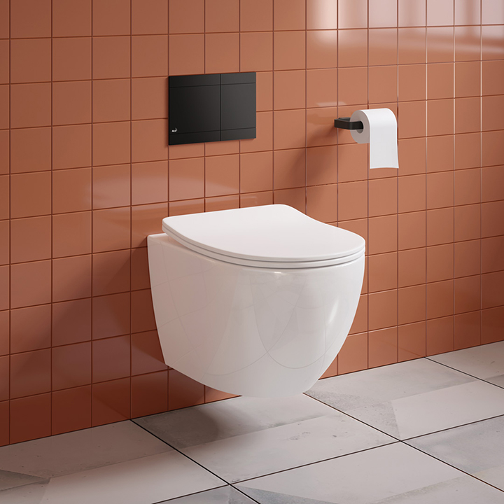 Wall hung toilet